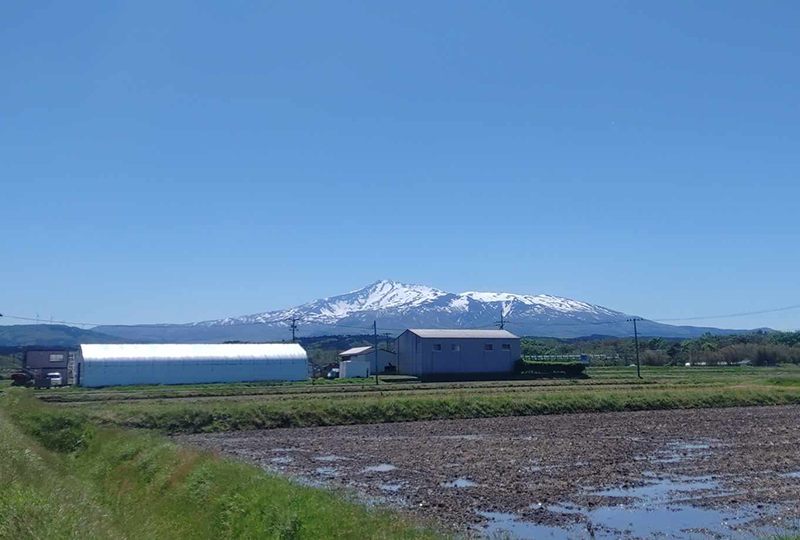 圃場①